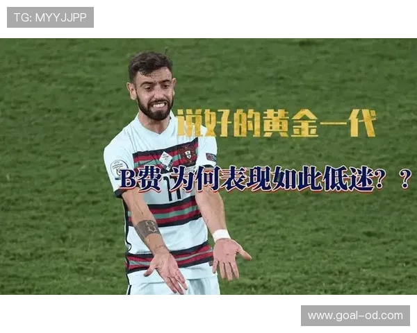 B费生涯个人表现与团队成绩分析