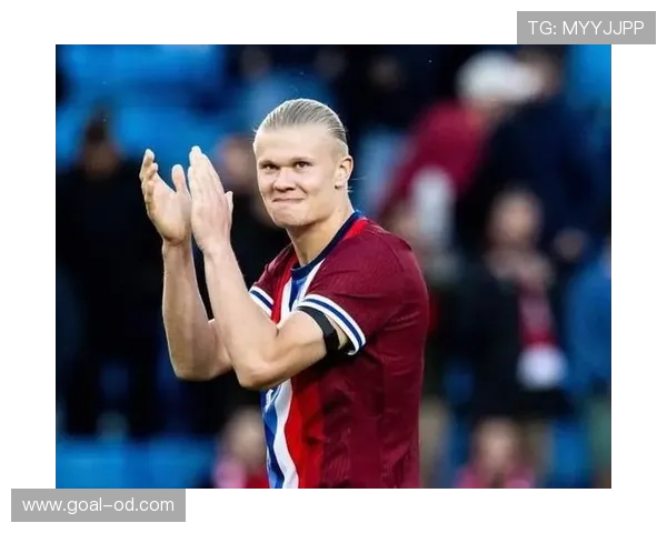 哈兰德距离历史第一中锋差距在哪？数据与荣誉深度分析